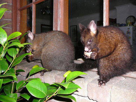 Wind Song Bed & Breakfast - Pubs and Clubs 2