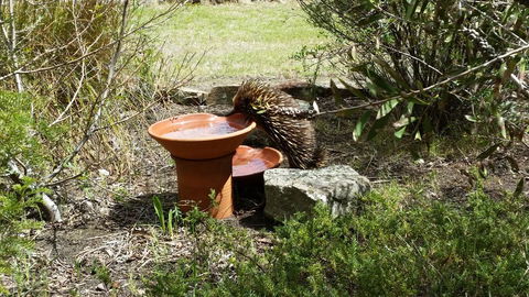 Wind Song Bed & Breakfast - Pubs and Clubs 3