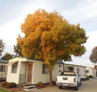 Wodonga Caravan  Cabin Park - Pubs and Clubs