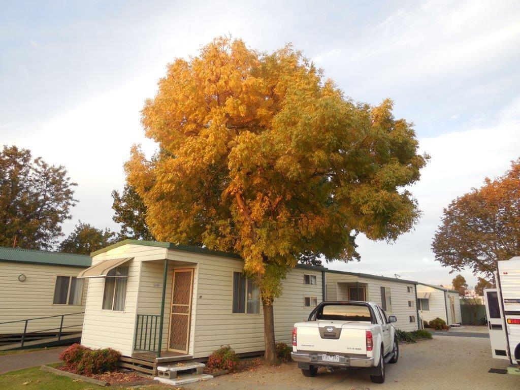 Wodonga VIC Pubs and Clubs