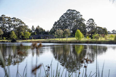 Wombat Edge - Pubs and Clubs 2