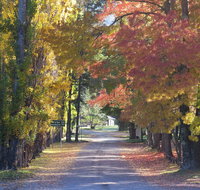 Wombeyan Caves - Go Out