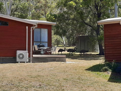 Wonderland Cottages - Pubs and Clubs 3