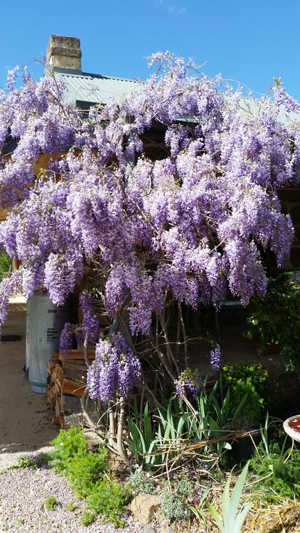 Woodvale At Cooma - Go Out 3