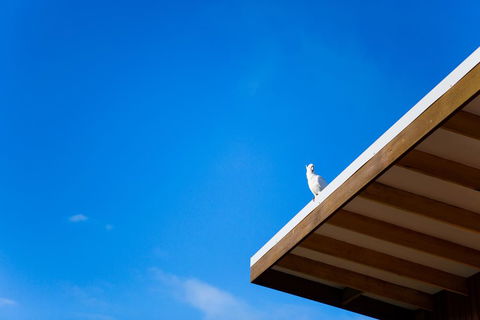 Wye Not Escape - Pubs and Clubs 0