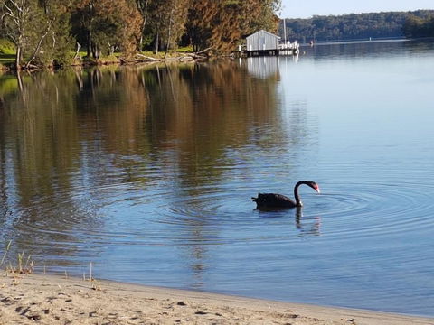 Wyreepi River Cottage - Pubs and Clubs 3