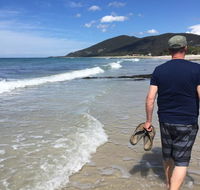 Rose Cottage sisters beach accommodation - Pubs and Clubs