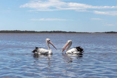 Amazing Ansons Bay Remote Paradise For The Family In The Bay Of Fires Area - Pubs and Clubs 2