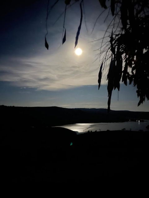 Amazing Views Pet Friendly Bed And Breakfast - Pubs and Clubs 1