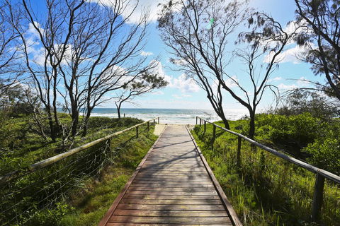 Bel Air On Broadbeach - Official - Pubs and Clubs 11