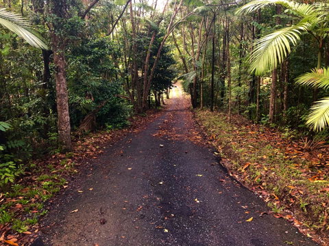 Daintree Manor B&B - Pubs and Clubs 12