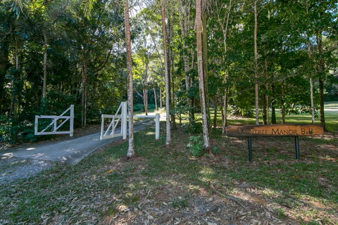 Daintree Manor B&B - Pubs and Clubs 18