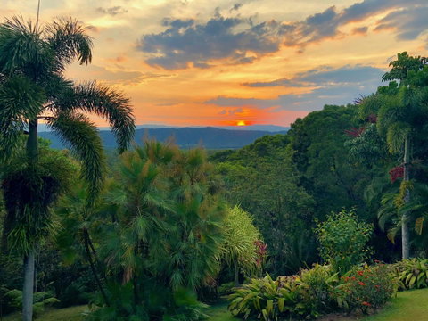 Daintree Manor B&B - Pubs and Clubs 13