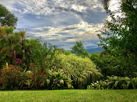 Daintree Manor B&B - Pubs and Clubs 2