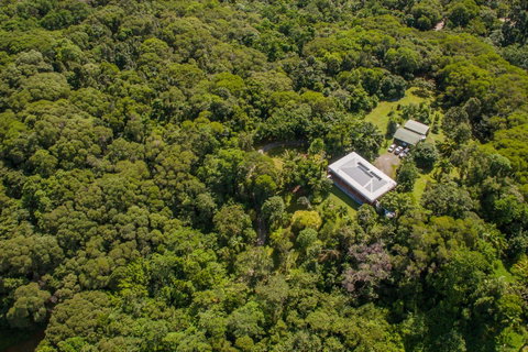 Daintree Manor B&B - Pubs and Clubs 14