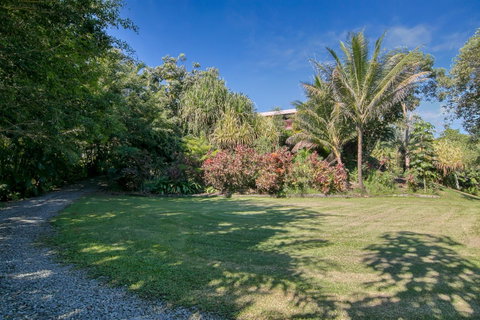 Daintree Manor B&B - Pubs and Clubs 19