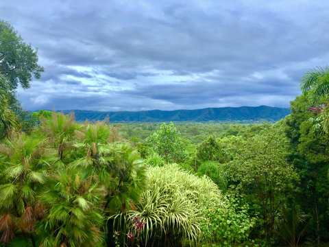 Daintree Manor B&B - Pubs and Clubs 0