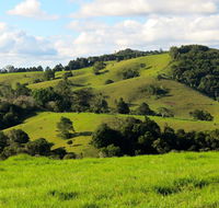 Maleny Springs Farm - Pubs and Clubs