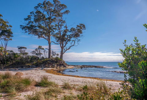 Adventure Bay Holiday Home - Pubs and Clubs 12
