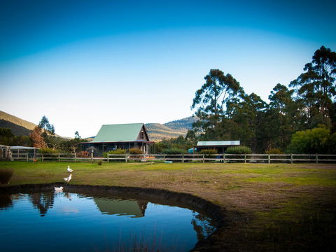 Parnella Adventure Bay, Bruny Island - Go Out 16