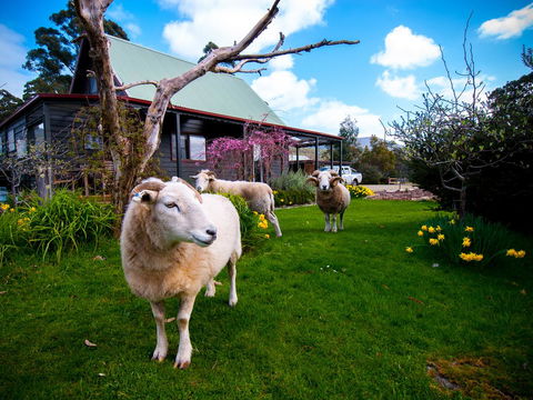 Parnella Adventure Bay, Bruny Island - Go Out 19