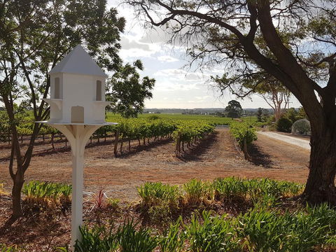 'In The Vines' Guest Cottage, Barossa Valley - Pubs and Clubs 0
