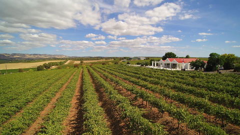 1837 Barossa Luxury Vineyard Cottages - Pubs and Clubs 0