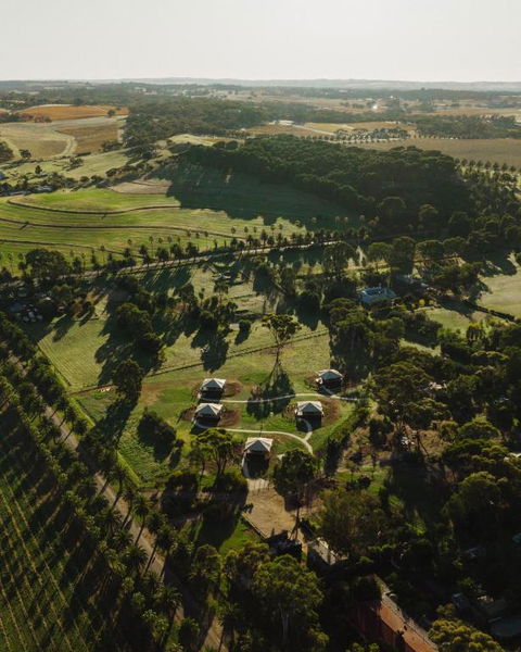 CANVS By CABN Seppeltsfield Barossa - Pubs and Clubs 1