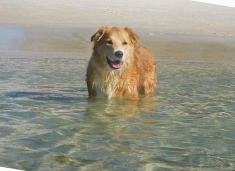 Casa Carinho, 24 Wallawa Rd - Spectacular Water Views, Pet Friendly, Air Con And Wi-Fi - Pubs and Clubs 1