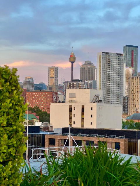 Central Sydney Apartment - Entire Unit With Rooftop Pool - Pubs and Clubs 3