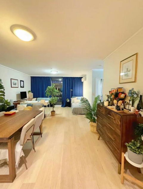 Central Sydney Apartment - Entire Unit With Rooftop Pool - Pubs and Clubs 4