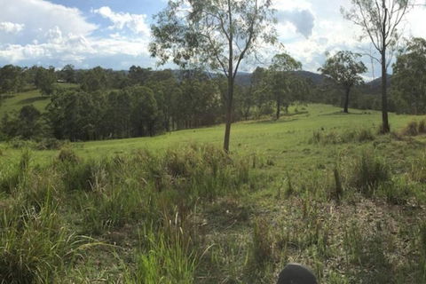 Charity Creek Retreat - Pubs and Clubs 2