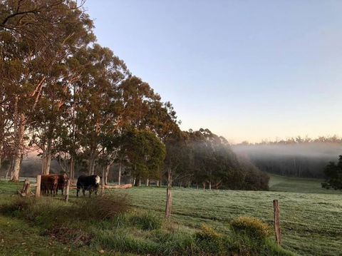 Cherswood Farm - Pubs and Clubs 3