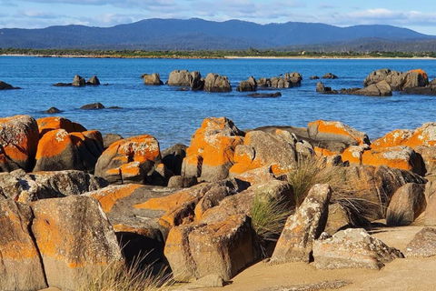 CHILL - Pubs and Clubs 1