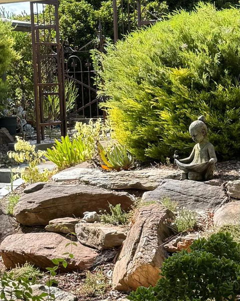 Cin Cin At Mclaren - Pubs and Clubs 0