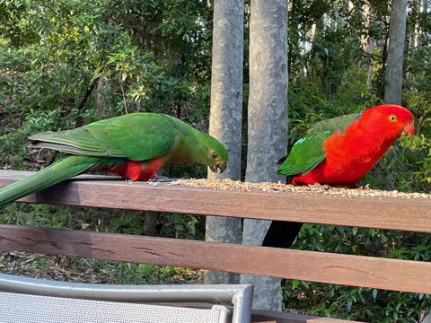 Circuit Beach House - A Piece Of Paradise! - Pubs and Clubs 4