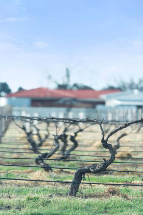 Crimson Ridge - Wines, Vines And Dine - Pubs and Clubs 1