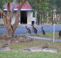 31 The Rocks - Pubs and Clubs