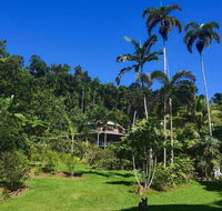 A Daintree Garden - Pubs and Clubs
