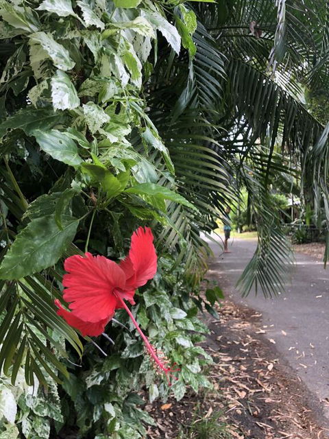 Absolute Beach Frontage, Family Friendly, Home Away From Home - Pubs and Clubs 1