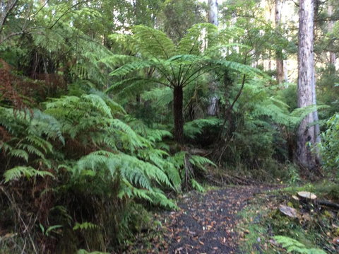 Forrest River Valley - Pubs and Clubs 4