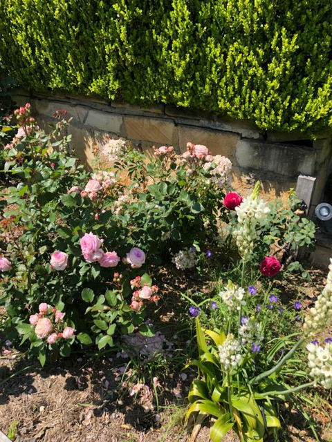 Garden Hill Retreat South Coast Australia - Pubs and Clubs 4