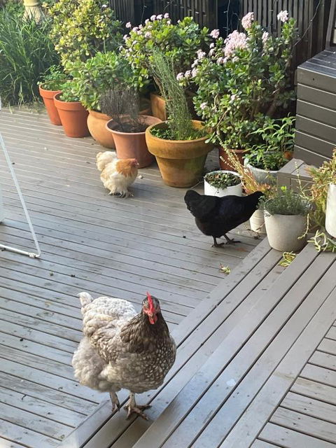 Gateway To The Peninsula - Pubs and Clubs 0