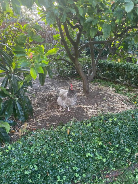 Gateway To The Peninsula - Pubs and Clubs 1