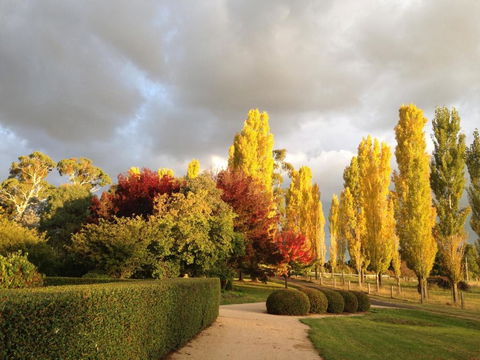Glen Waverly Farmstay - Pubs and Clubs 1