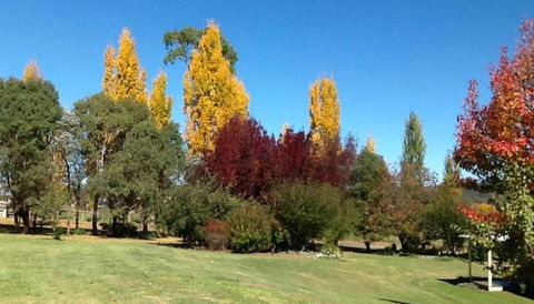Glen Waverly Farmstay - Pubs and Clubs 3
