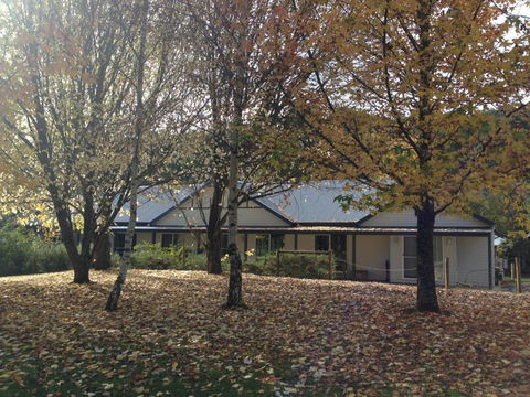 Goldberryaccommodation - Pubs and Clubs 0