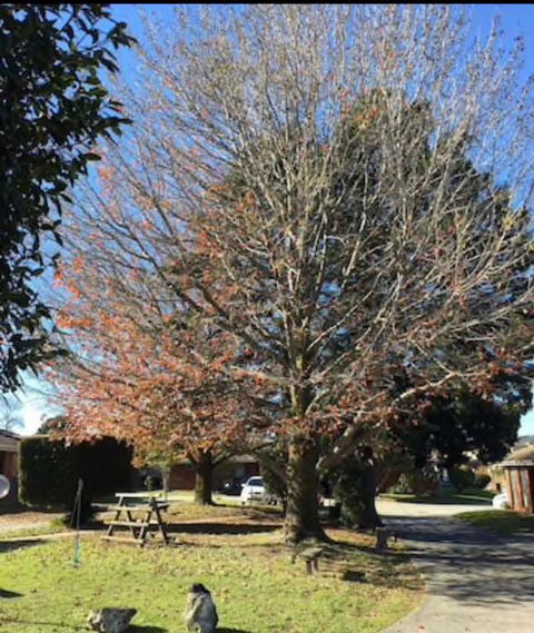 Golden House - Pubs and Clubs 0