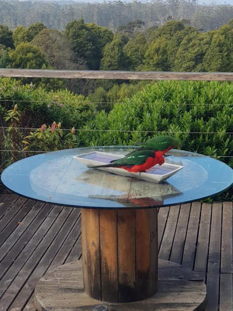 Gone Surfin - Pubs and Clubs 2