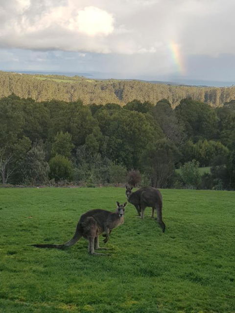 Gone Surfin - Pubs and Clubs 1